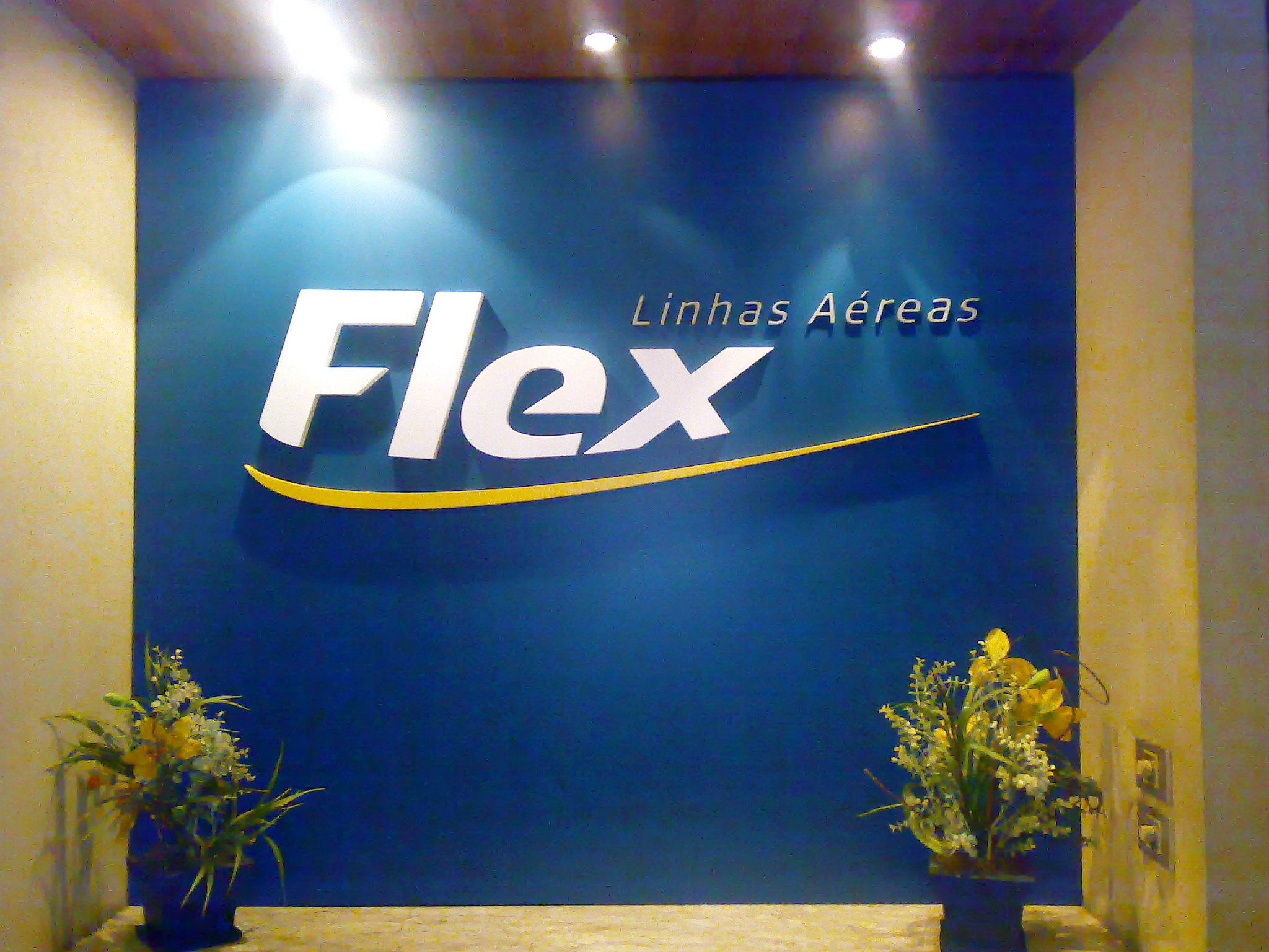 Flex Linhas Aéreas